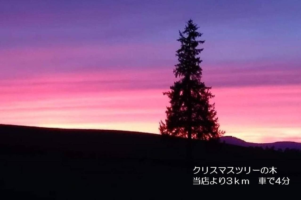 カフェロッジ Touch Wood 3* 美瑛町